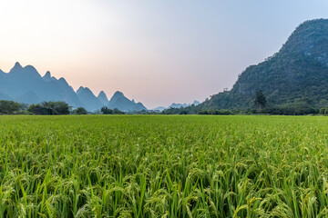 南京今明后三天天气